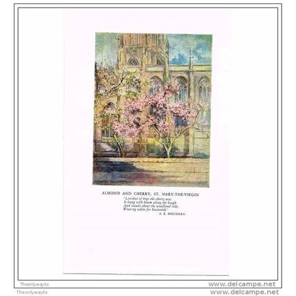 ALMOND AND CHERRY, ST MARY-THE-VIRGIN, BOOK ILLUSTRATION 1949