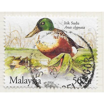 MALAYSIA 2006 DUCK STAMPS NORTHERN SHOVELER BIRD 50s USED