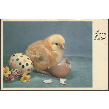 Happy Easter, c.1950s - Edition Stehli Postcard