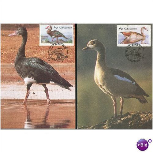Venda SHS FDI PC's 1987 - Venda Waterfowl