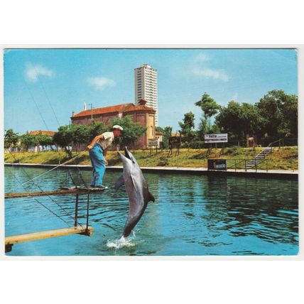 Postcard Dolphin Show, The Aquarium, Cesenatico, Forli-Cesena, Italy.