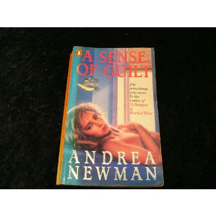 A Sense of Guilt by Andrea Newman