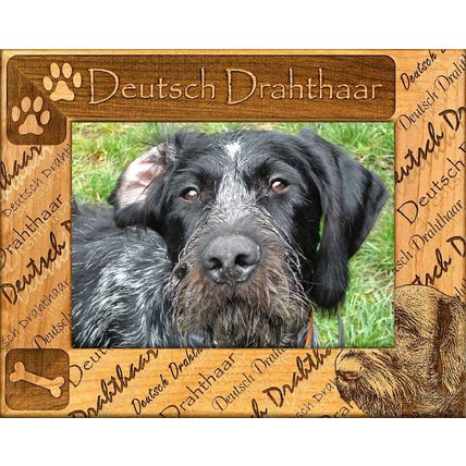 Deutsch Drahthaar Laser Engraved Wood Picture Frame (5 x 7)