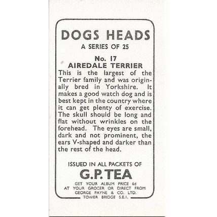 Dogs Heads 1963 G.P. Tea Card 17 - Airedale Terrier