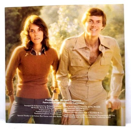 Carpenters – A Kind Of Hush 1976 LP Vinyl Record Album (P10)