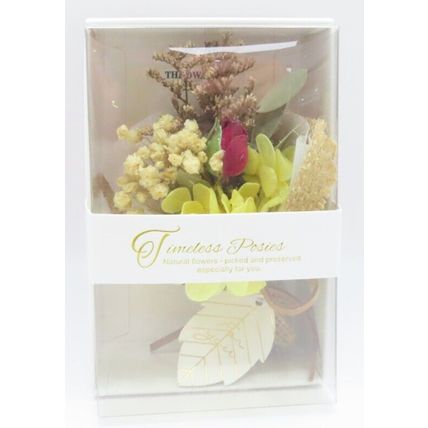 Timeless Posies Small Preserved Flowers 10 CM Boxed Gift Home Decor Red Rose