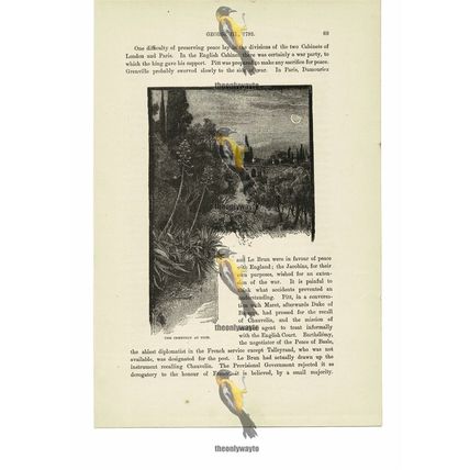 Cemetery At Nice, France, Book Illustration (Print), c1870