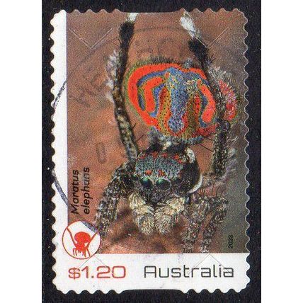 Australia 2023 Peacock Spiders - Maratus elephans $1.20 s/a Used