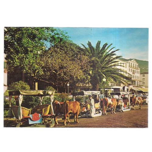 FUNCHAL, PORTUGAL used postcard 1981 postmark =