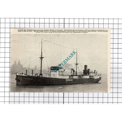Dutch Oil Tanker DORDRECHT Ship - c.1940's Cutting