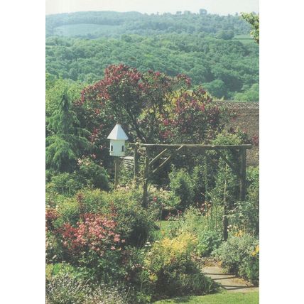 The Walled Gardens Tea Rooms Dunsford Post Office Devon Postcard