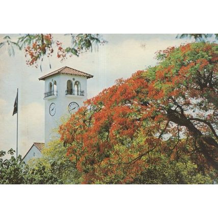 Nelspruit Town Clock With Flag Africa Postcard