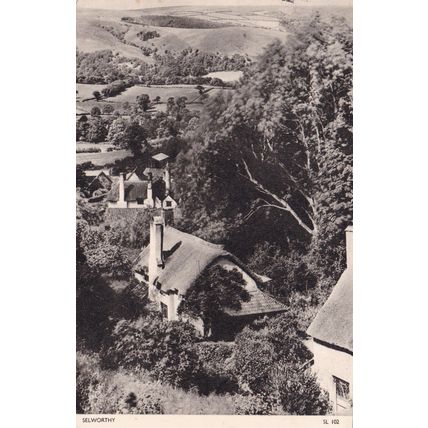 Selworthy Somerset Postcard posted 1954 VGC