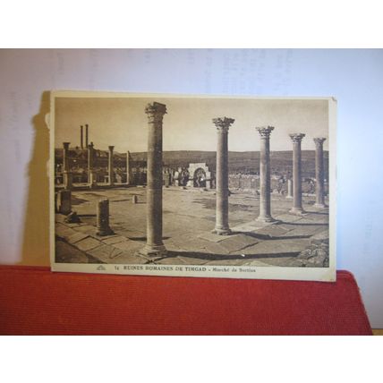 MARCHE DE SERTIUS, ROMAINES DE TIMGAD, ALGERIA. antique unused postcard. #