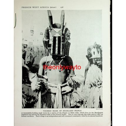 Visored Mask, Dogon/Habe Tribe (Sarakolie People +, Reverse), Book Illustration