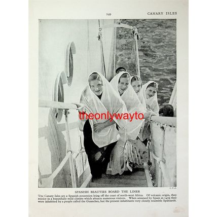 Spanish Ladies Board Liner (Veiled Tuareg Noblemen, Reverse), Book Illustration