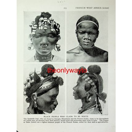 Visored Mask, Dogon/Habe Tribe (Sarakolie People +, Reverse), Book Illustration