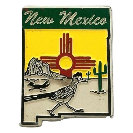 New Mexico 4 Color Fridge Magnet