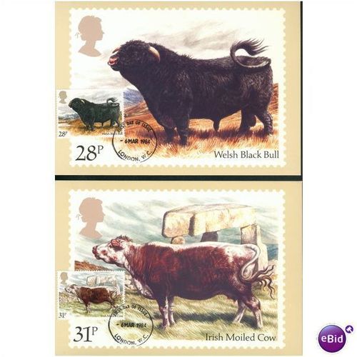 GB PHQ + FDI 1984 - British Cattle