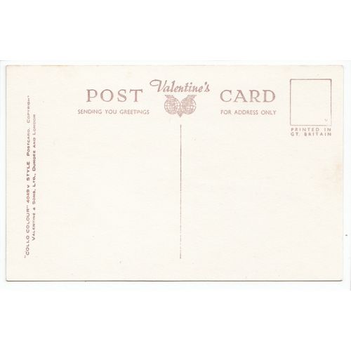 Cenarth Falls Near Newcastle Emlyn Carmarthenshire Postcard 2028
