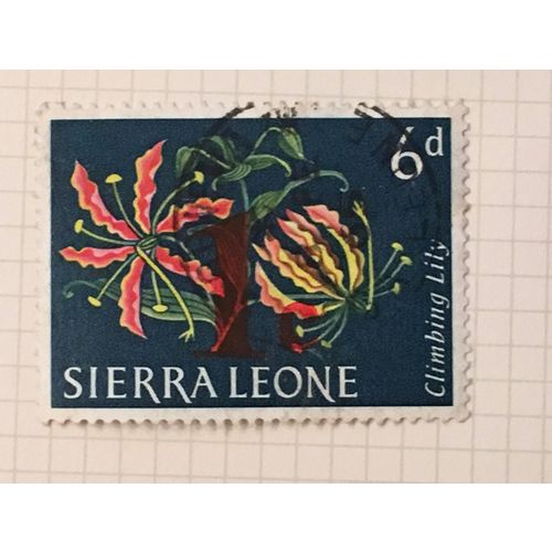 Sierra Leone 1963 Flowers 6d Climbing Lily Used SG 248 postage stamp