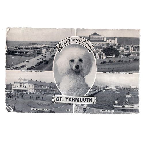 GREAT YARMOUTH, NORFOLK multiview used vintage postcard 1965 pm POODLE DOG =