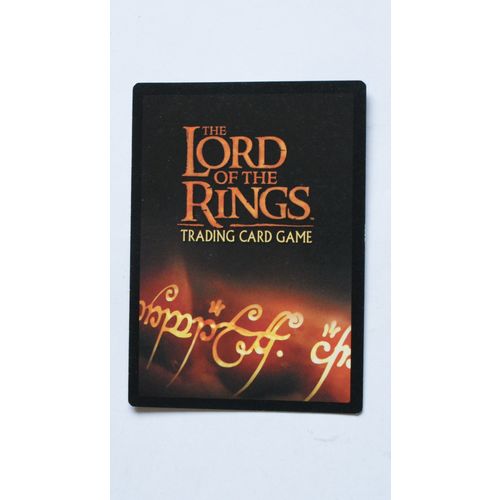 Lord of the Rings CCG Fellowship # 247 Enheartened Foe (A) 2001 decipher lotr