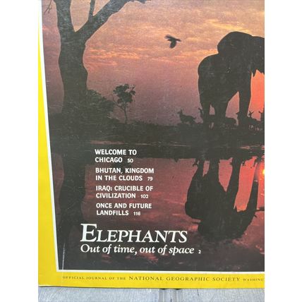 National Geographic Magazine May 1991 Elephants Vintage Collectable