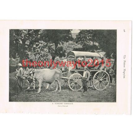 Turkish Carriage, Book Illustration (Print), 1895