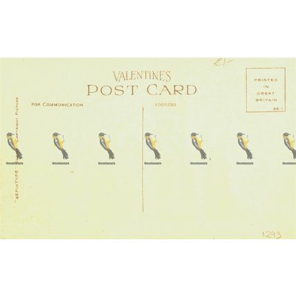 Calton Hill, Edinburgh, Scotland, 38169 Valentine's Sepiatype Postcard, 1925