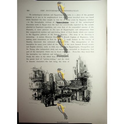 Street Corner, Alexandria, Egypt, Book Illustration (Print), 1890