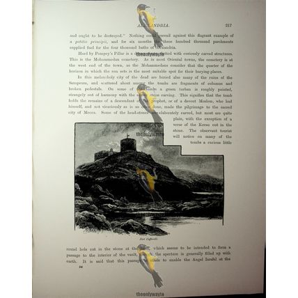 Fort Caffarelli, Alexandria, Egypt, Book Illustration (Print), 1890