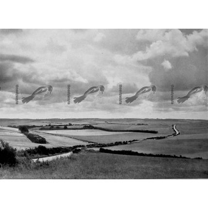 Berkshire Downs, Near Blewbury, Bucks, B & W Photo Book Illustration, 1937