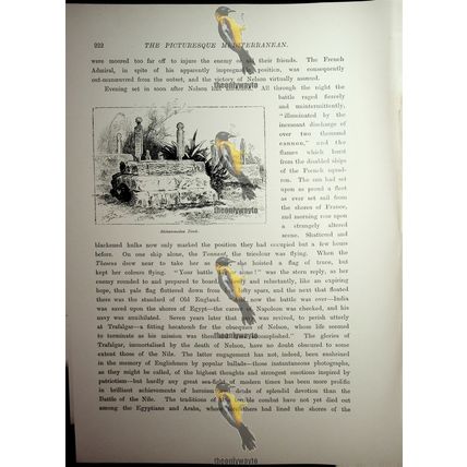 Catacombs At El-Meke, Alexandria, Egypt, (Tomb, Reverse), Book Illustration 1890
