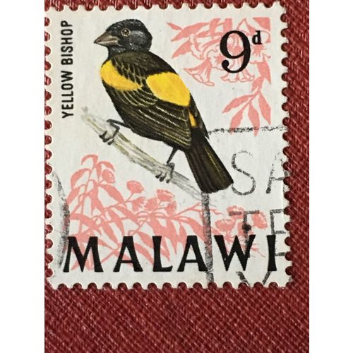 Malawi QEII 1968 Birds 9d Yellow Rumped Bishop Used SG 315 Sc 100 postage stamp