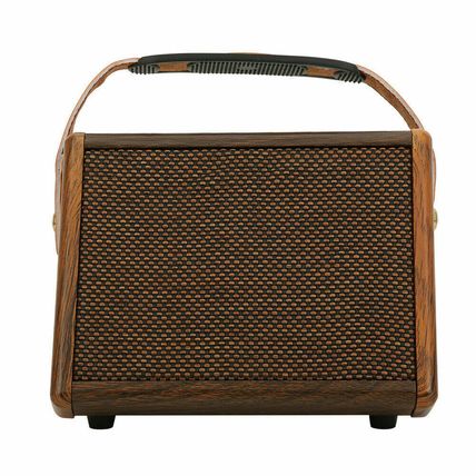 Flatsons Crush 15 Portable Acoustic Guitar Amplifier Amp BlueTooth Speaker 15W