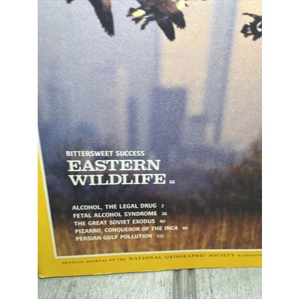 National Geographic Magazine Feb 1992 Eastern Wildlife - Vintage Collectable