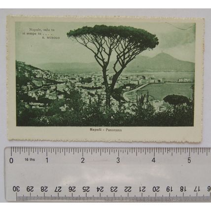 vintage postcard Napoli, Panorama
