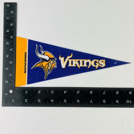 Minnesota Vikings NFL Football Team Mini Pennant Banner