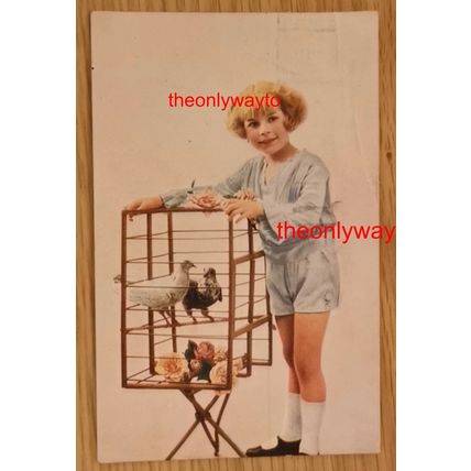 Belgian Girl And Her Pigeons, Belgian Postcard, 1927