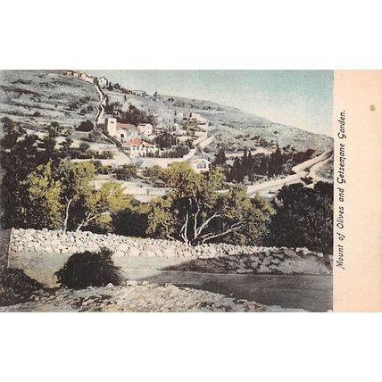 Mount of Olives & Getsemane Garden : colour printed postcard