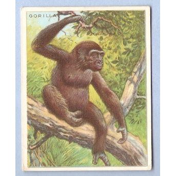 Tobacco Card ~ Company: American Tobacco Company Brand: Hassan Cork Tip Ci~47