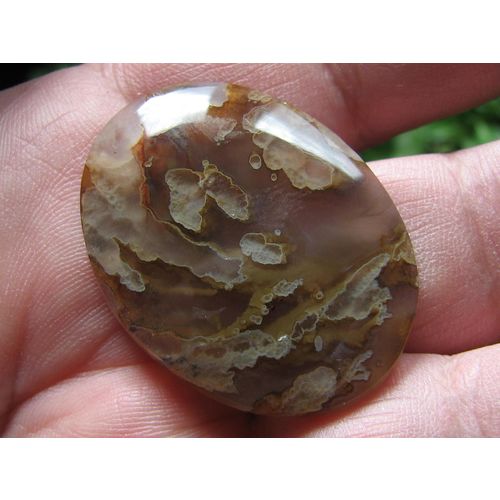 Quant Tube Agate Oval Cabochon: Fantastic Outlined Tubes; Old Oregon Variety