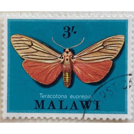 Malawi QEII 1970 Moths 3s 3/- Teracotona euprepia Used SG 361 Sc 141 Stamp