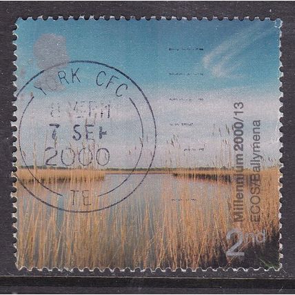 GB POSTMARK YORK 2000 Reed Beds ECOS Ballymena 2nd VGC