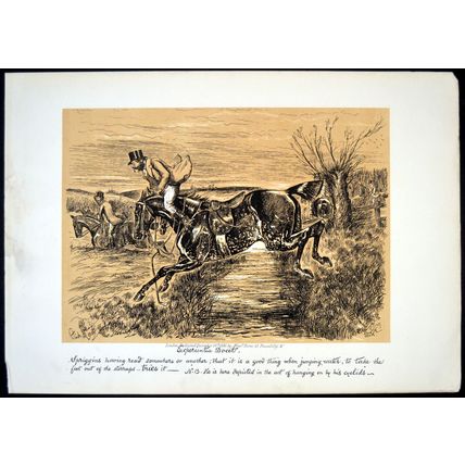 EXPERIENTIA DOCET 1886 George Finch Mason - Horses VICTORIAN PRINT #2