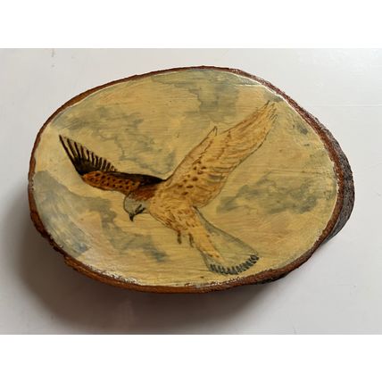 WOODEN SIGN - HAND PAINTED KESTREL