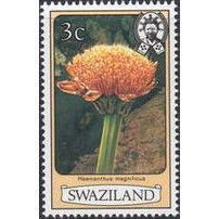 Swaziland 1980 Flowers 3c Haemanthus Magnificus Unmounted Mint NHM SG 342A stamp