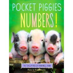 Pocket Piggies Numbers