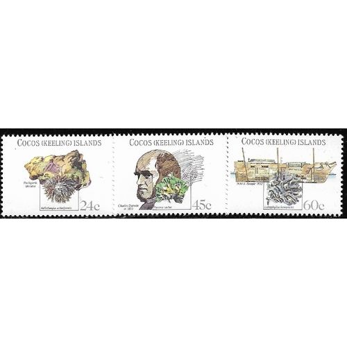 1981 SG 75/77 - MNH (**)